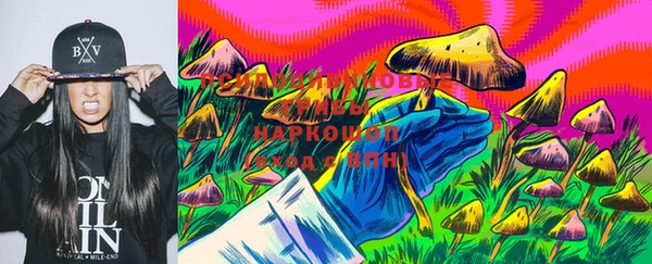 бошки Алзамай