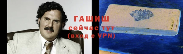 прущие грибы Переславль-Залесский
