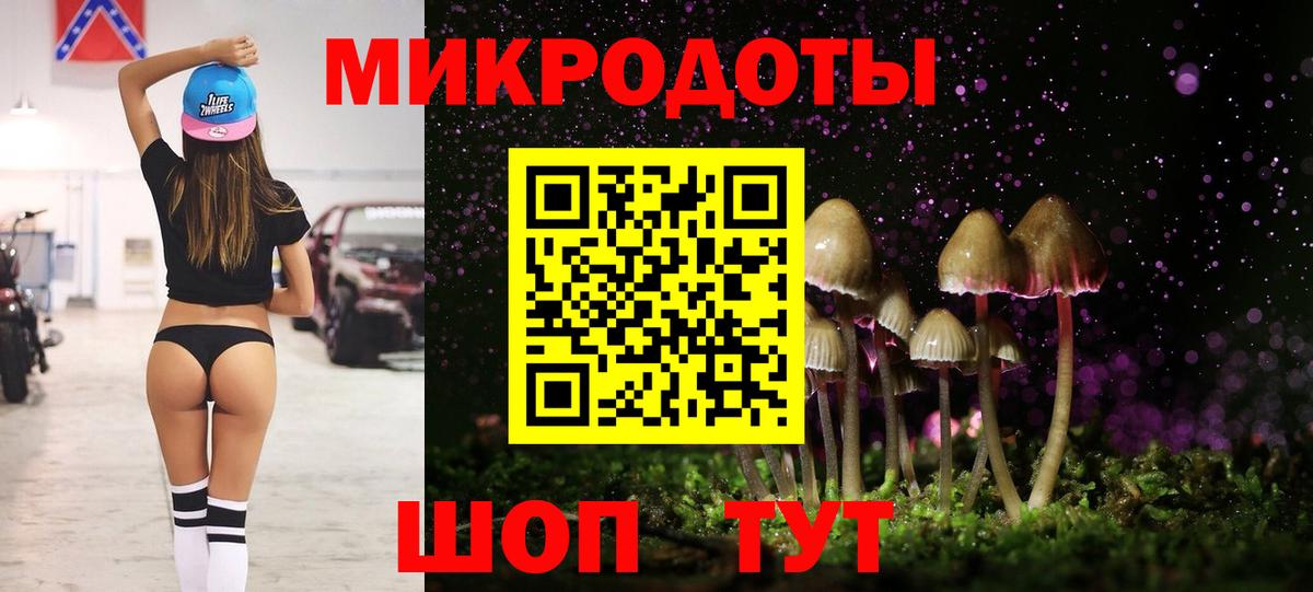 Псилоцибиновые грибы Psilocybe Зеленокумск